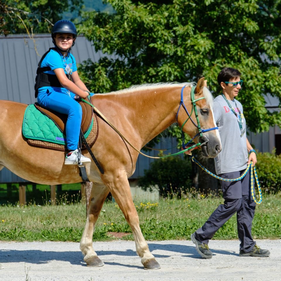 Terapia Ricreativa a cavallo: un’avventura al galoppo